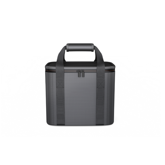Carrying Case Bag